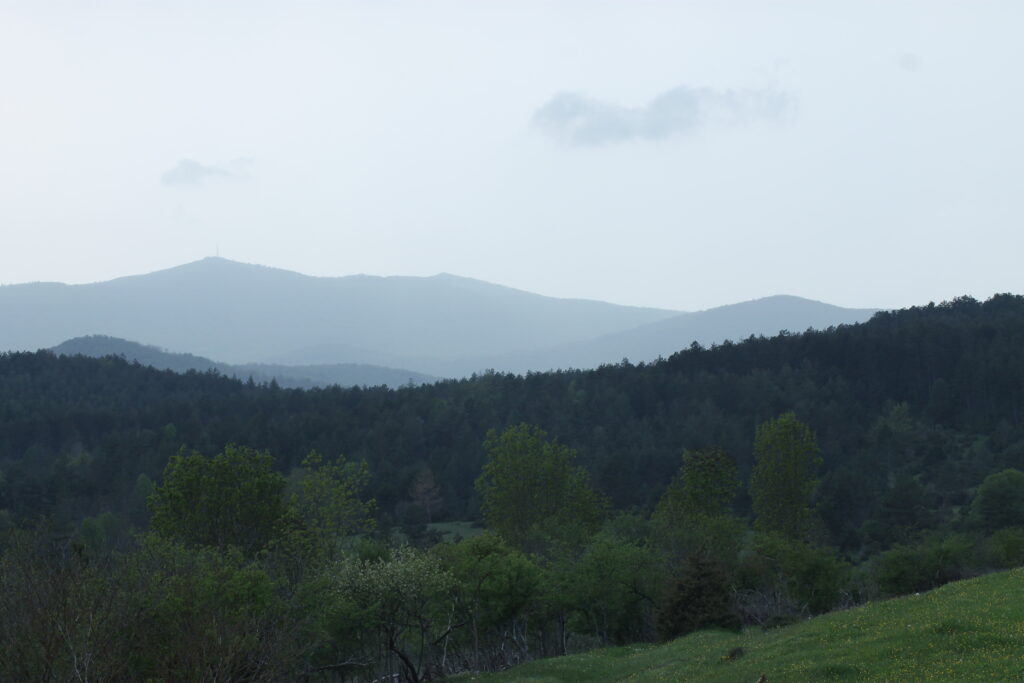 Slovenian Countryside