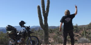 Arizona Desert Cactus